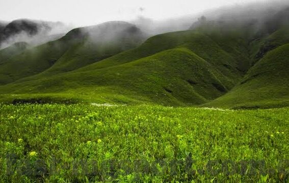 德州 扑克比赛赛程-德州扑克比赛赛程，策略、节奏与心理素质的博弈
